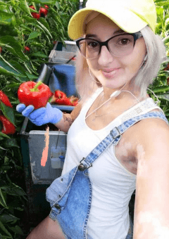 Paprika plukkers in de glas- en tuinbouw