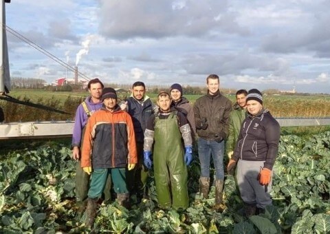 Poolse oogstmedewerkers