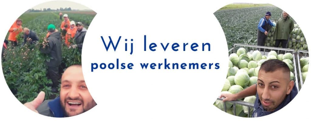 Wij leveren poolse werknemers voor agrarische, techniek en food sector